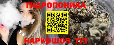 прущие крисы Можга