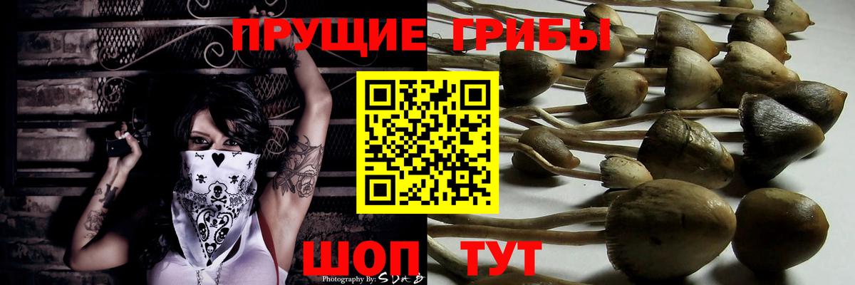 Псилоцибиновые грибы Psilocybine cubensis  Вход с VPN  Шебекино 